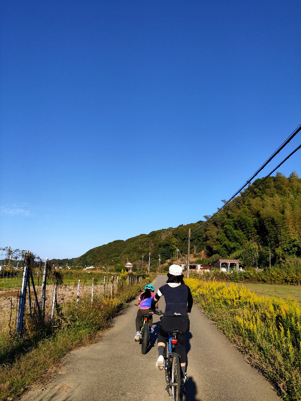 f:id:shingo_shiraishi:20201025200010j:image