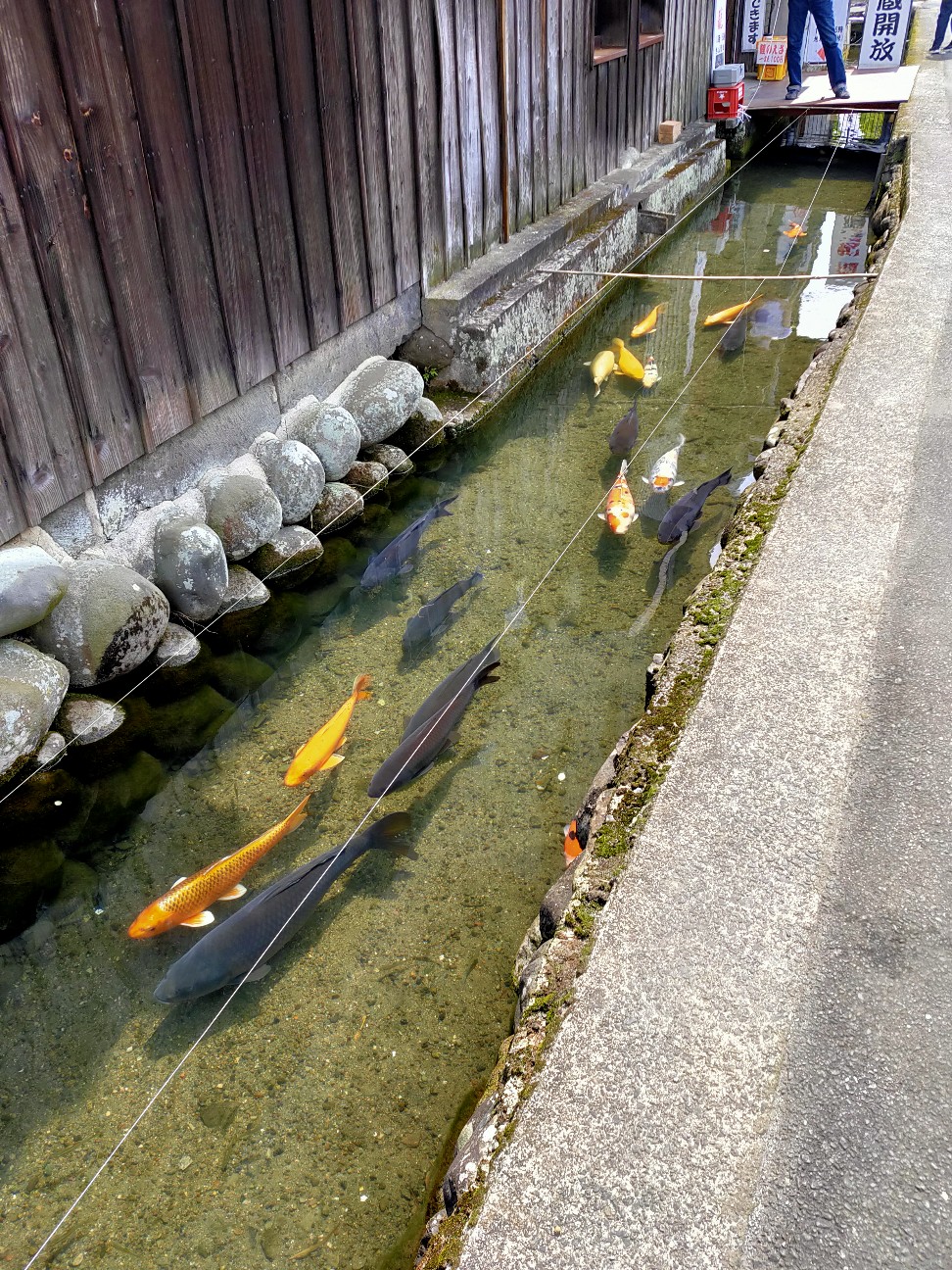 f:id:shingo_shiraishi:20220520000538j:image f:id:shingo_shiraishi:20220520000538j:image