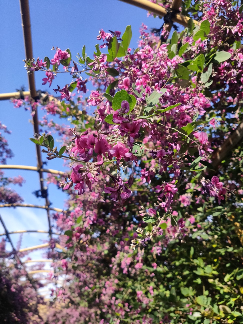 f:id:shingo_shiraishi:20231027233930j:image f:id:shingo_shiraishi:20231027233930j:image