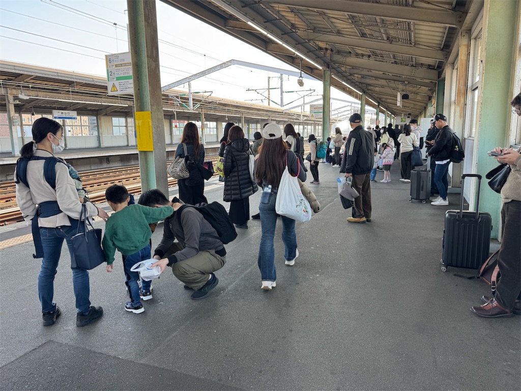 f:id:shingo_shiraishi:20260215220954j:image