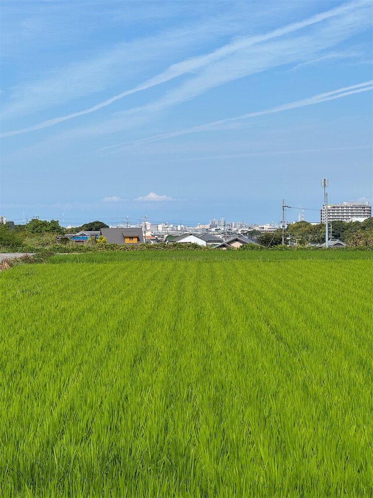 f:id:shingo_shiraishi:20260827224018j:image