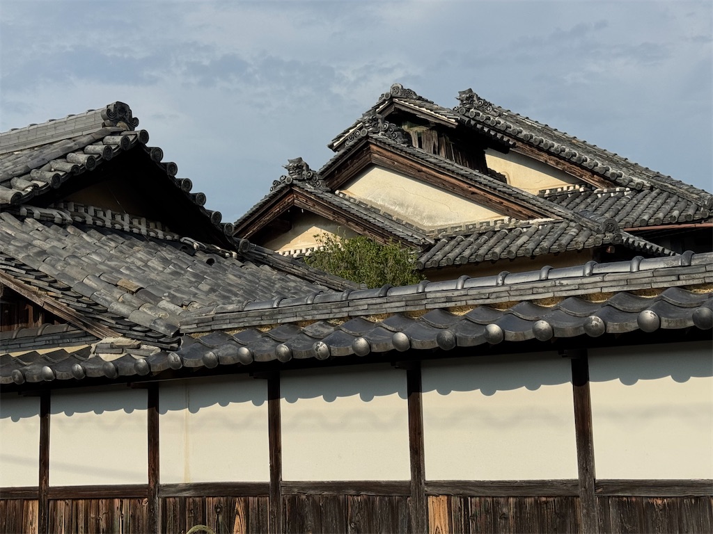 f:id:shingo_shiraishi:20260903222929j:image