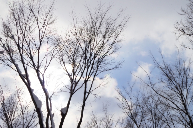 f:id:shingon_in:20180213213424j:plain f:id:shingon_in:20180213213424j:plain