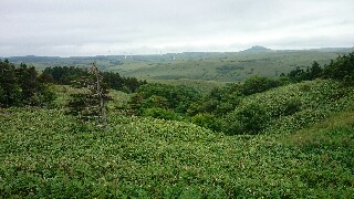 f:id:shingorugo13:20170702195452j:image f:id:shingorugo13:20170702195452j:image