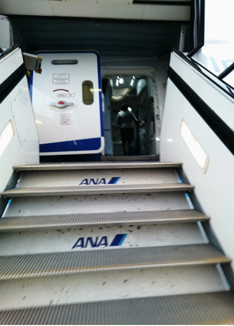 f:id:shingosfc:20180913162637j:image f:id:shingosfc:20180913162637j:image