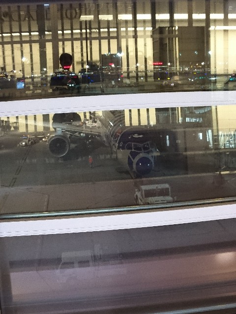 f:id:shingosfc:20181019114251j:image f:id:shingosfc:20181019114251j:image