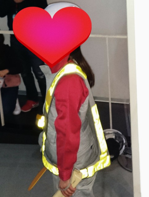 f:id:shingosfc:20190216231400j:image