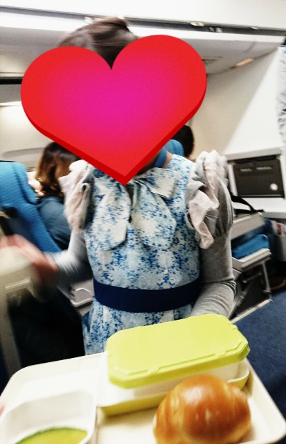 f:id:shingosfc:20190307000817j:image