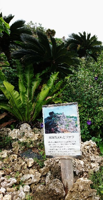 f:id:shingosfc:20190320142458j:image