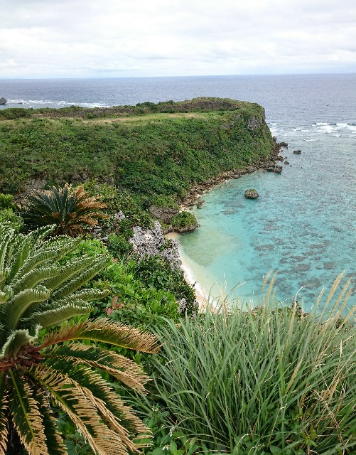 f:id:shingosfc:20190320142536j:image