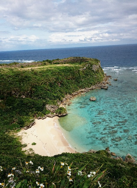 f:id:shingosfc:20190320142650j:image