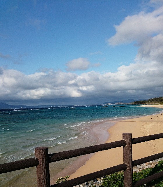 f:id:shingosfc:20190322153200j:image