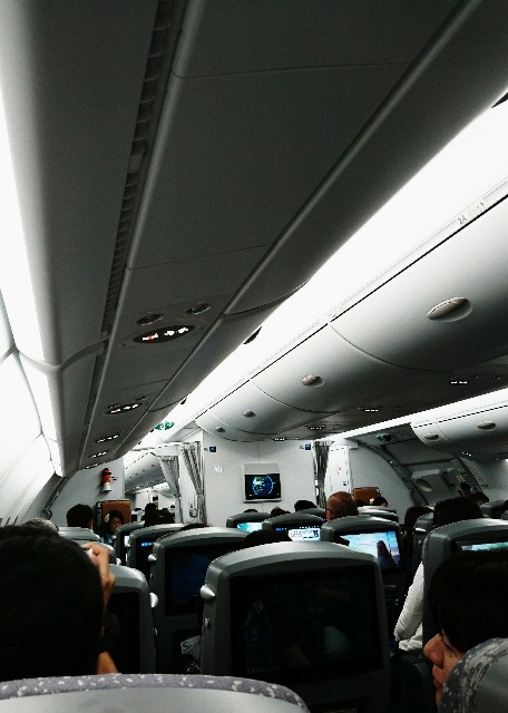 f:id:shingosfc:20190531230004j:image