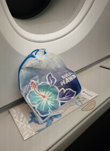 f:id:shingosfc:20190602071835j:image