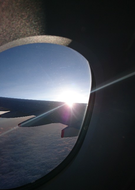 f:id:shingosfc:20190602072328j:image