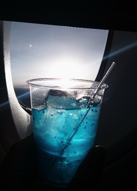 f:id:shingosfc:20190602072451j:image