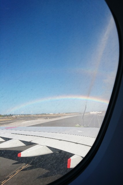 f:id:shingosfc:20190603032806j:image