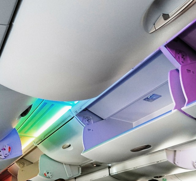 f:id:shingosfc:20190603125954j:image