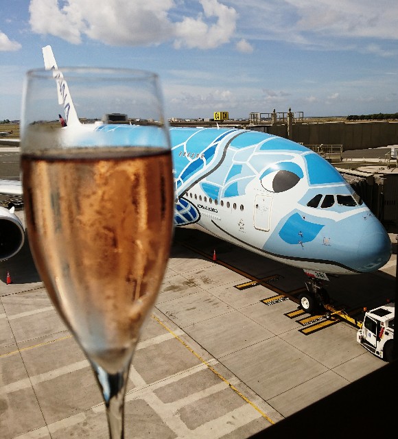 f:id:shingosfc:20190612113416j:image f:id:shingosfc:20190612113416j:image