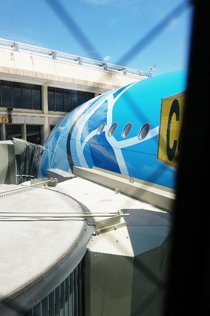 f:id:shingosfc:20190612113723j:image f:id:shingosfc:20190612113723j:image