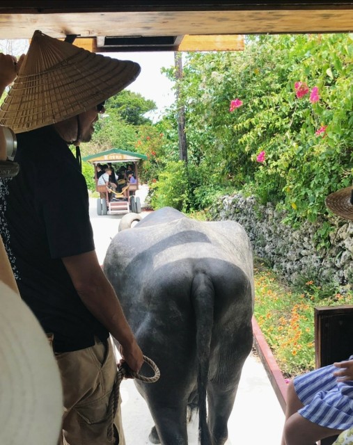 f:id:shingosfc:20190822225042j:image f:id:shingosfc:20190822225042j:image