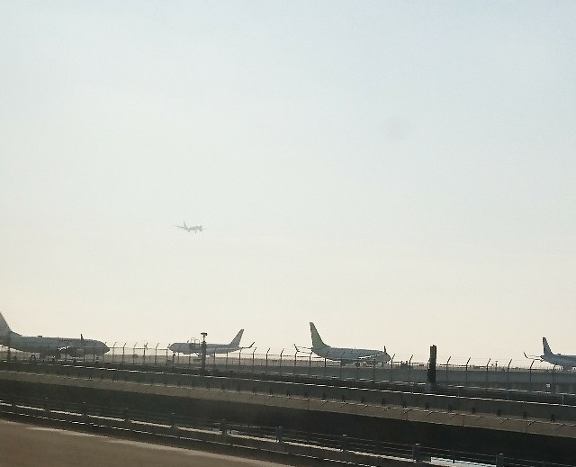 f:id:shingosfc:20191119210236j:image