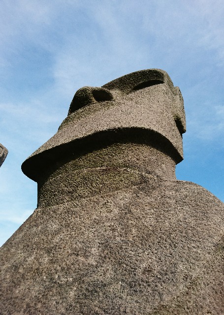 f:id:shingosfc:20191123234821j:image