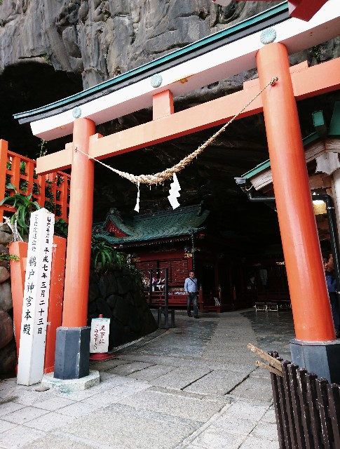 f:id:shingosfc:20191123234906j:image