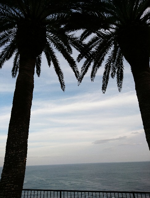 f:id:shingosfc:20191123235412j:image