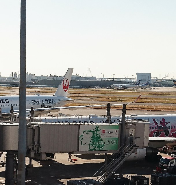 f:id:shingosfc:20191204125417j:image