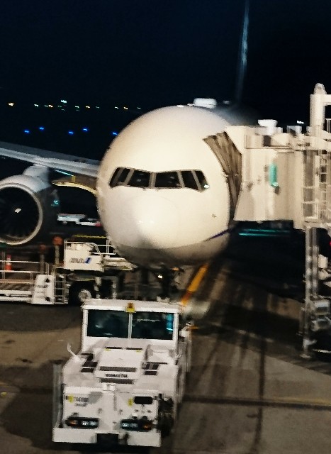 f:id:shingosfc:20191214200359j:image