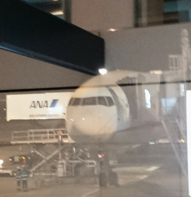 f:id:shingosfc:20191215005843j:image