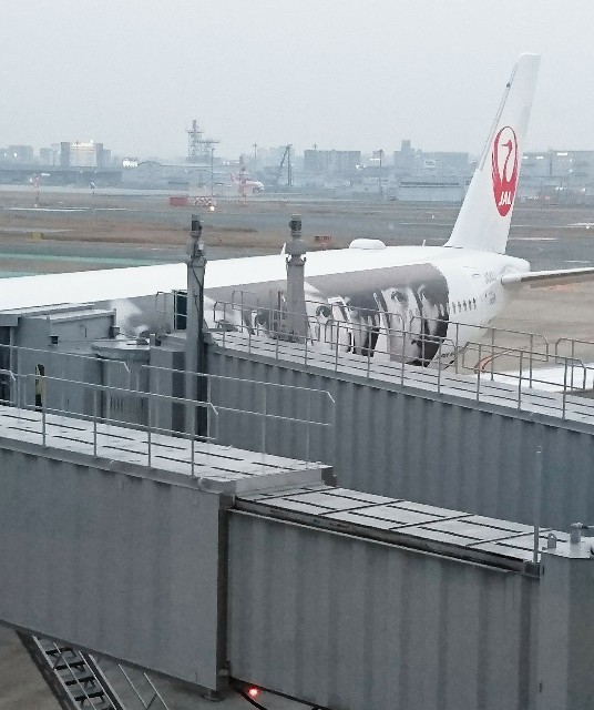 f:id:shingosfc:20200214213022j:image