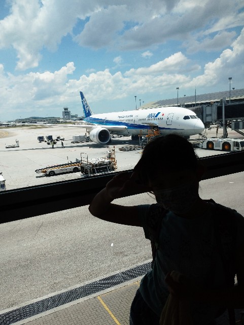 f:id:shingosfc:20200421090421j:plain f:id:shingosfc:20200421090421j:plain