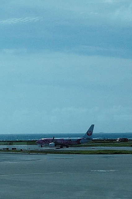 f:id:shingosfc:20200630193225j:plain