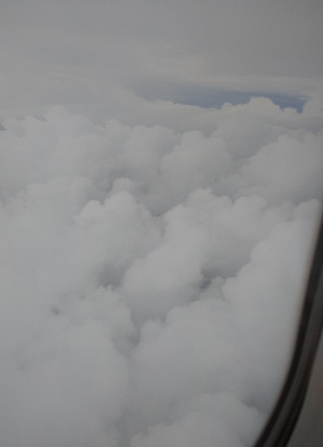 f:id:shingosfc:20200630194701j:plain