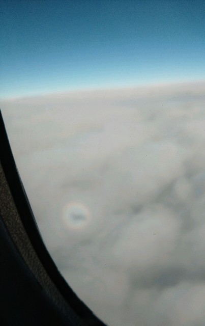 f:id:shingosfc:20201106093659j:plain