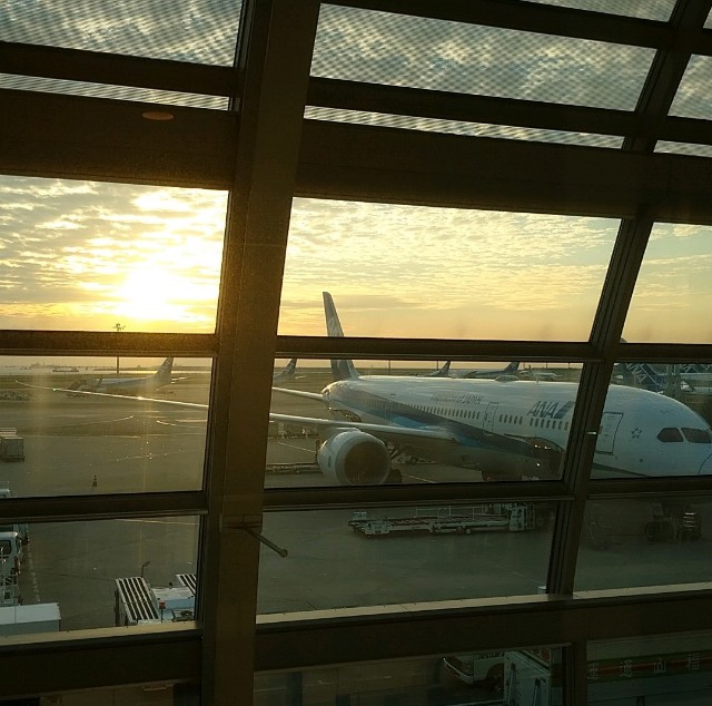 f:id:shingosfc:20201108234410j:plain
