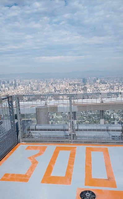 f:id:shingosfc:20201114223636j:plain