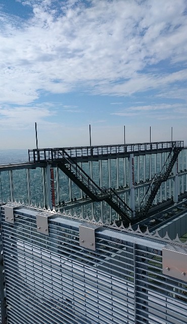 f:id:shingosfc:20201114223645j:plain