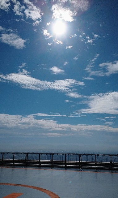 f:id:shingosfc:20201114223704j:plain