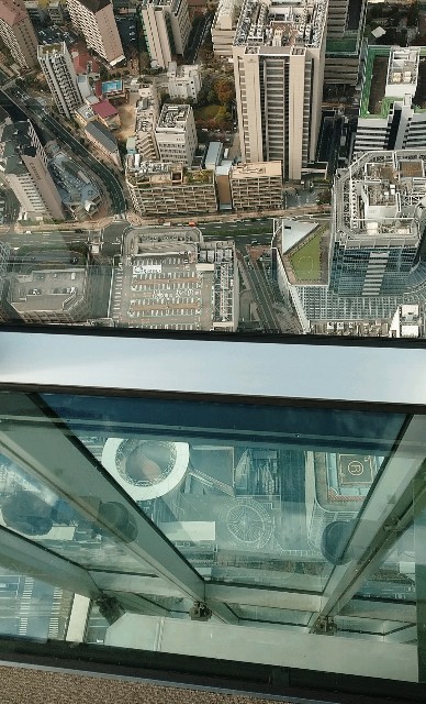 f:id:shingosfc:20201114224302j:plain