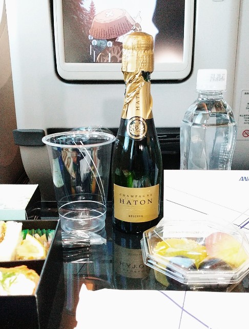 f:id:shingosfc:20201127152105j:plain