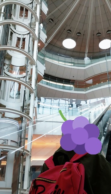 f:id:shingosfc:20210401080757j:plain