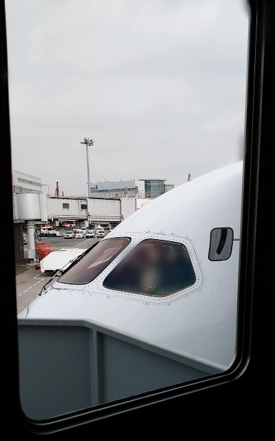 f:id:shingosfc:20210401150927j:plain