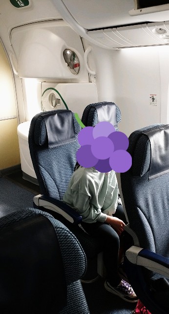 f:id:shingosfc:20210401150939j:plain