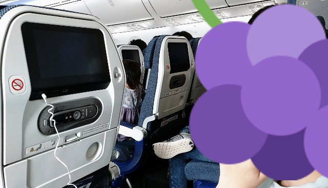 f:id:shingosfc:20210401150952j:plain