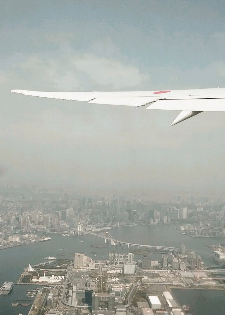 f:id:shingosfc:20210401151025j:plain