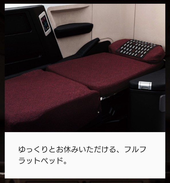 f:id:shingosfc:20210615080642j:plain