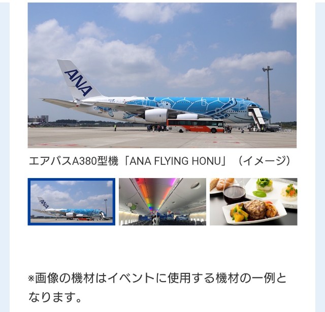 f:id:shingosfc:20211025192229j:plain